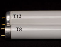 T8 T12 lights